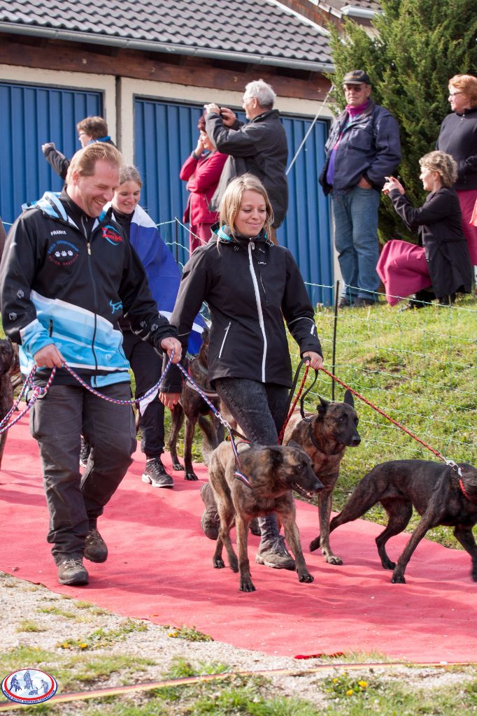 of Saint John's - WDSF Agility & Obedience World Cup 2019