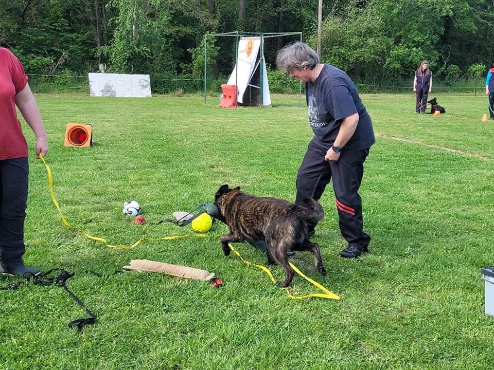 Un tamming Des Héritiers D'hojoshei