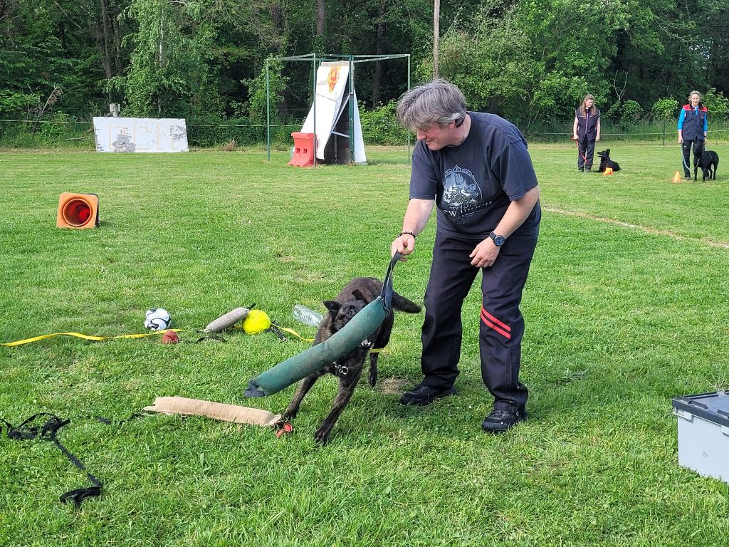 Un tamming Des Héritiers D'hojoshei