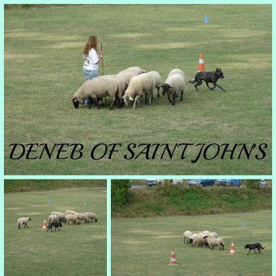 Deneb of Saint John's