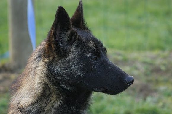 Finistere of Saint John's