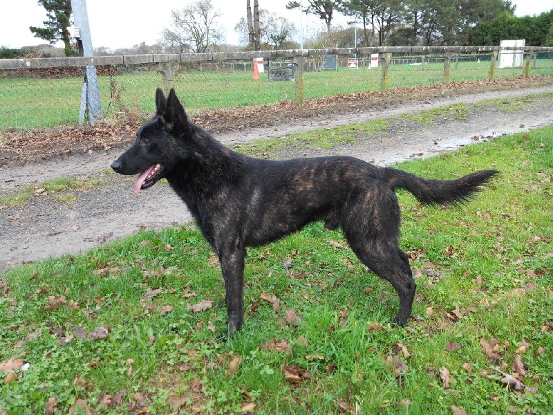 Info of Saint John's