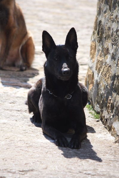 Mac Khalahann's H'avel