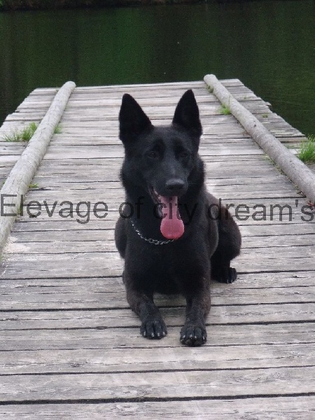 Grace of Saint John's